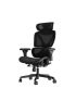 Ergopixel Virtuoso Riposo Ergonomic Chair